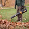 CAT DG250 18Volt 4.0Ah. Li-ion Tek Akülü Devir Ayarlı Profesyonel Yaprak Üfleme